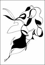 man_37